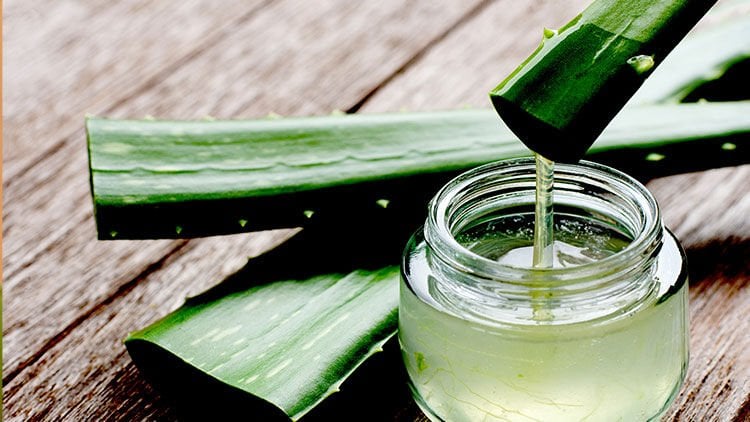 Aloe Vera’nın Faydaları Nelerdir?