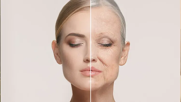 Anti aging, yaşlanma belirtilerine karşı geliştirilmiş, cildin gençlik ışıltısını korumayı hedefleyen bakım yöntemlerini ve uygulamaları kapsar. Bu kavram, yalnızca kırışıklıkları azaltmakla kalmaz; cilt dokusunu güçlendirmeyi, elastikiyetini artırmayı ve sağlıklı yaşlanmayı desteklemeyi de içerir.