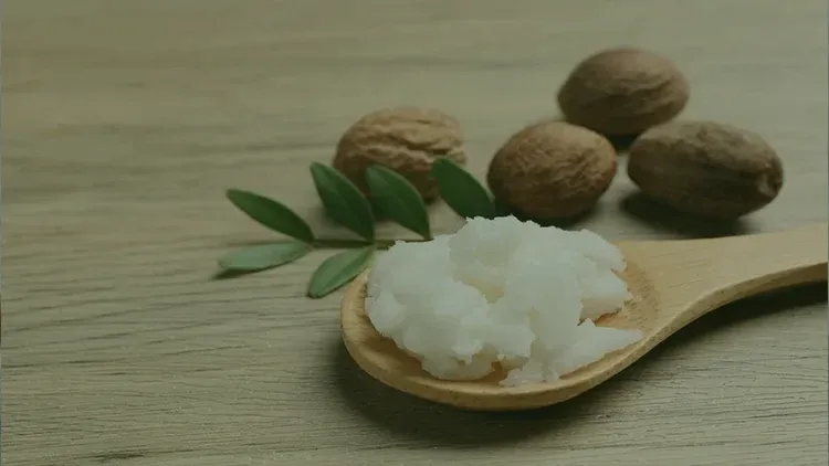 Shea Yağı Nedir? Faydaları Nelerdir?