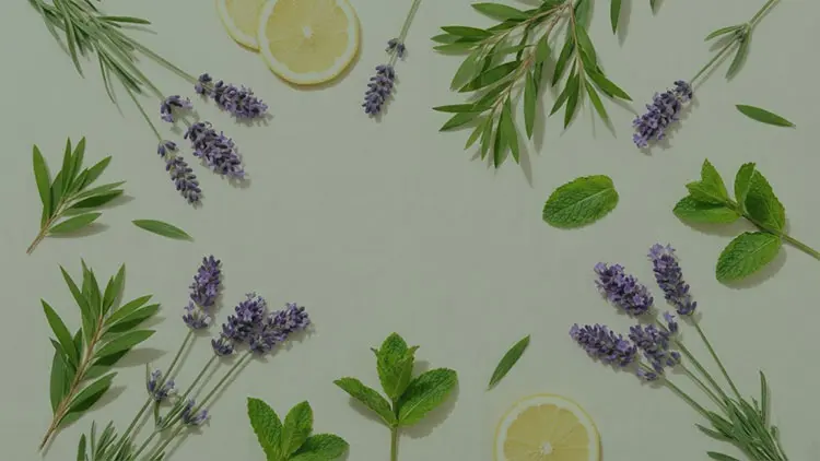 Esansiyel Yağlar Nedir? Faydaları ve Kullanım Alanları