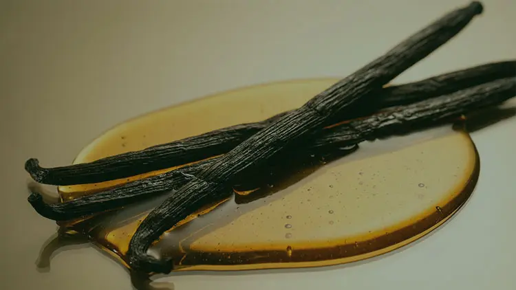 Vanilya yağı, eşsiz kokusu, yatıştırıcı etkisi ve çok yönlü kullanım alanları ile hem kozmetik hem de aromaterapi dünyasında sıkça tercih edilen doğal bir üründür. Vanilya yağı ne işe yarar, cilde faydaları nelerdir gibi tüm sorularınızı yanıtladık.