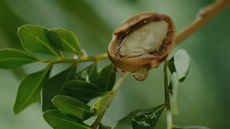 Argan Yağı ile Cilt Bakımı Nasıl Yapılır?