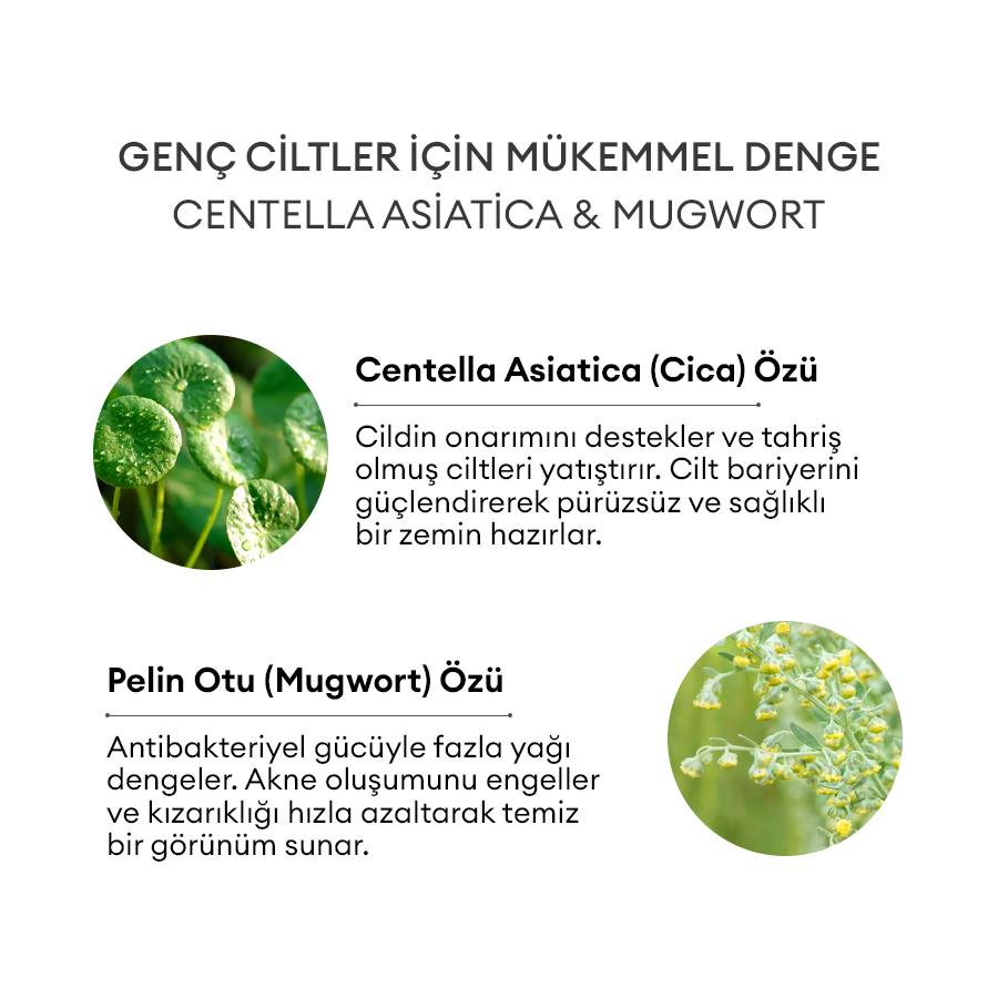 Yağlı ve Akne Eğilimli Genç Ciltler için Doğal Jel Maske - İz Karşıtı 60ml - Cica & Mugwort